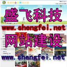 鄭州盛飛科技公司 專業網站建設，以視覺之美賦能品牌形象